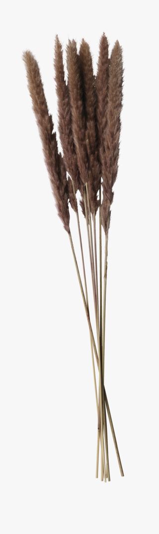 Pampas small halm mörk sand