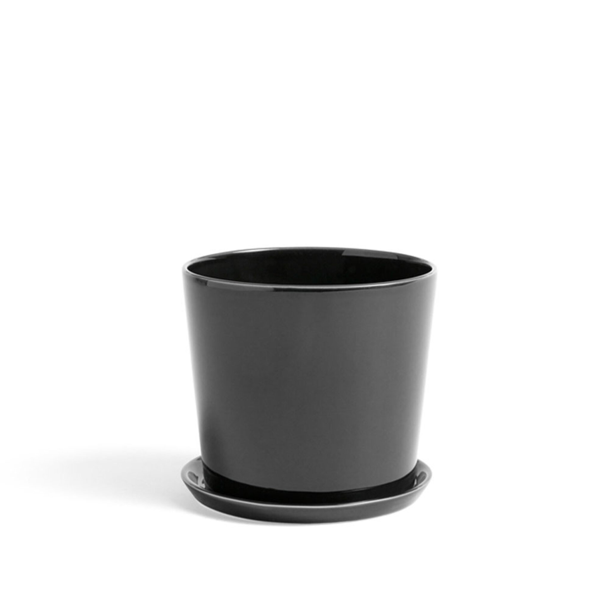 Kruka med fat Botanical Family M