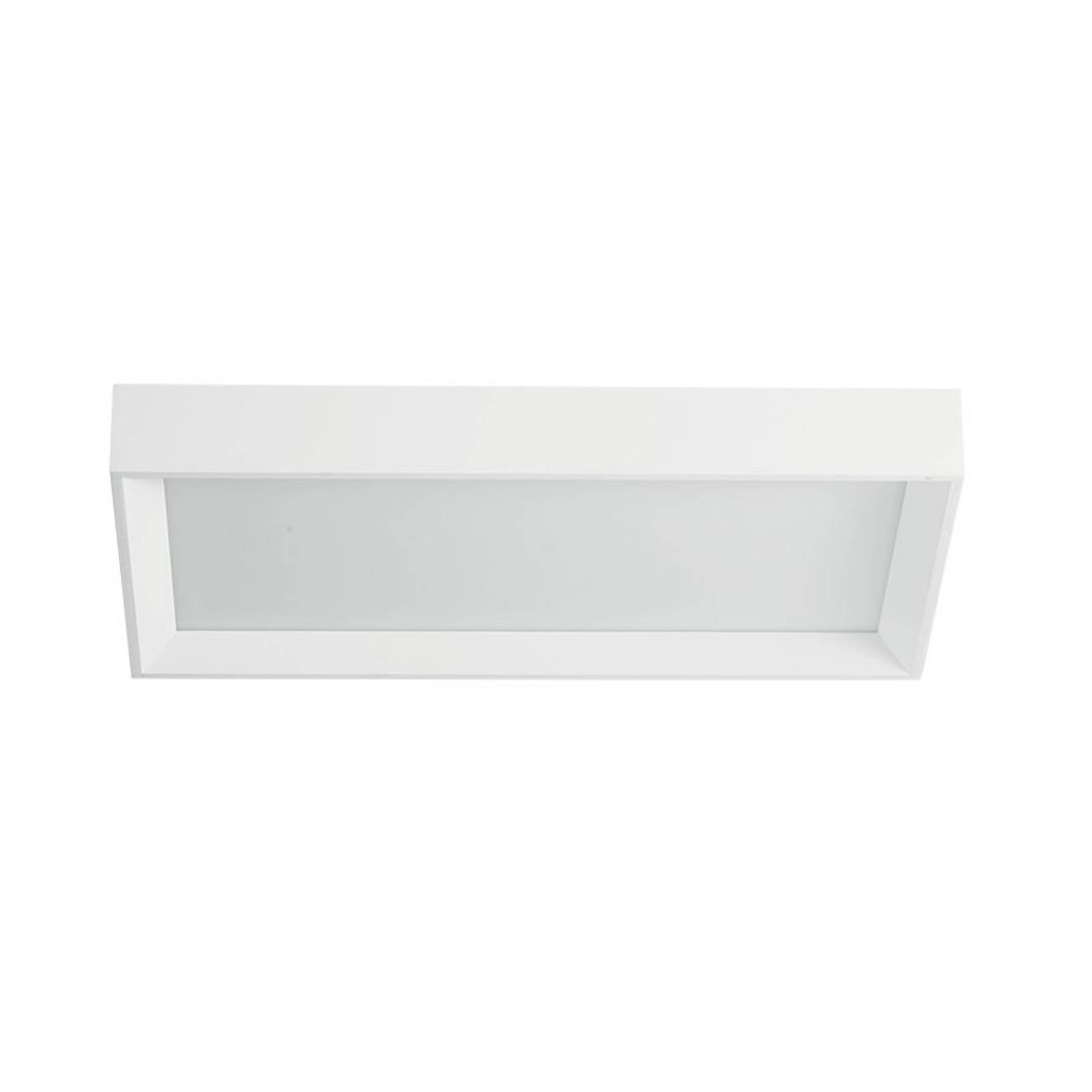 LED-taklampa Tara dimbar, 54 x 29 cm