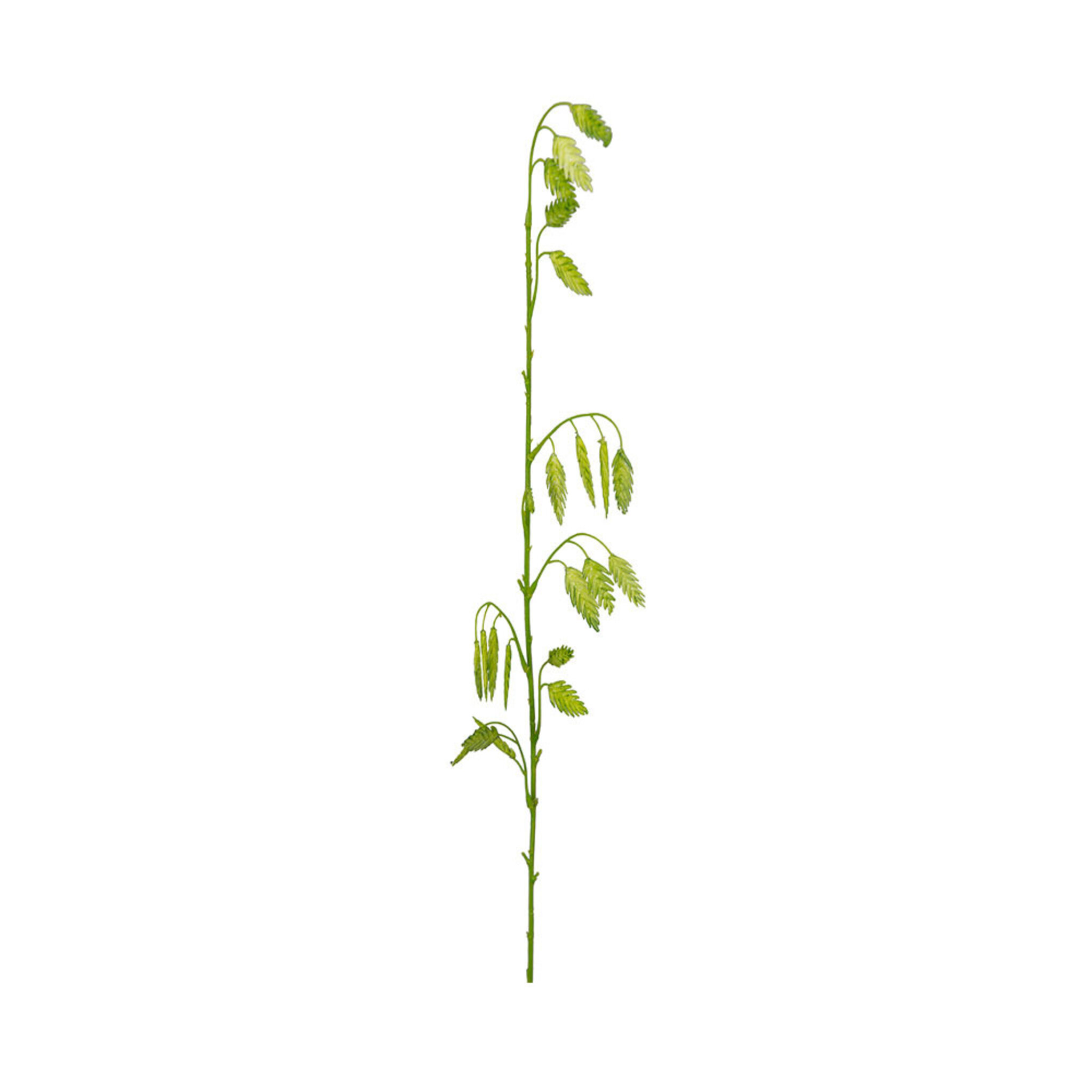 Konstväxt Gräs 60 cm, 60