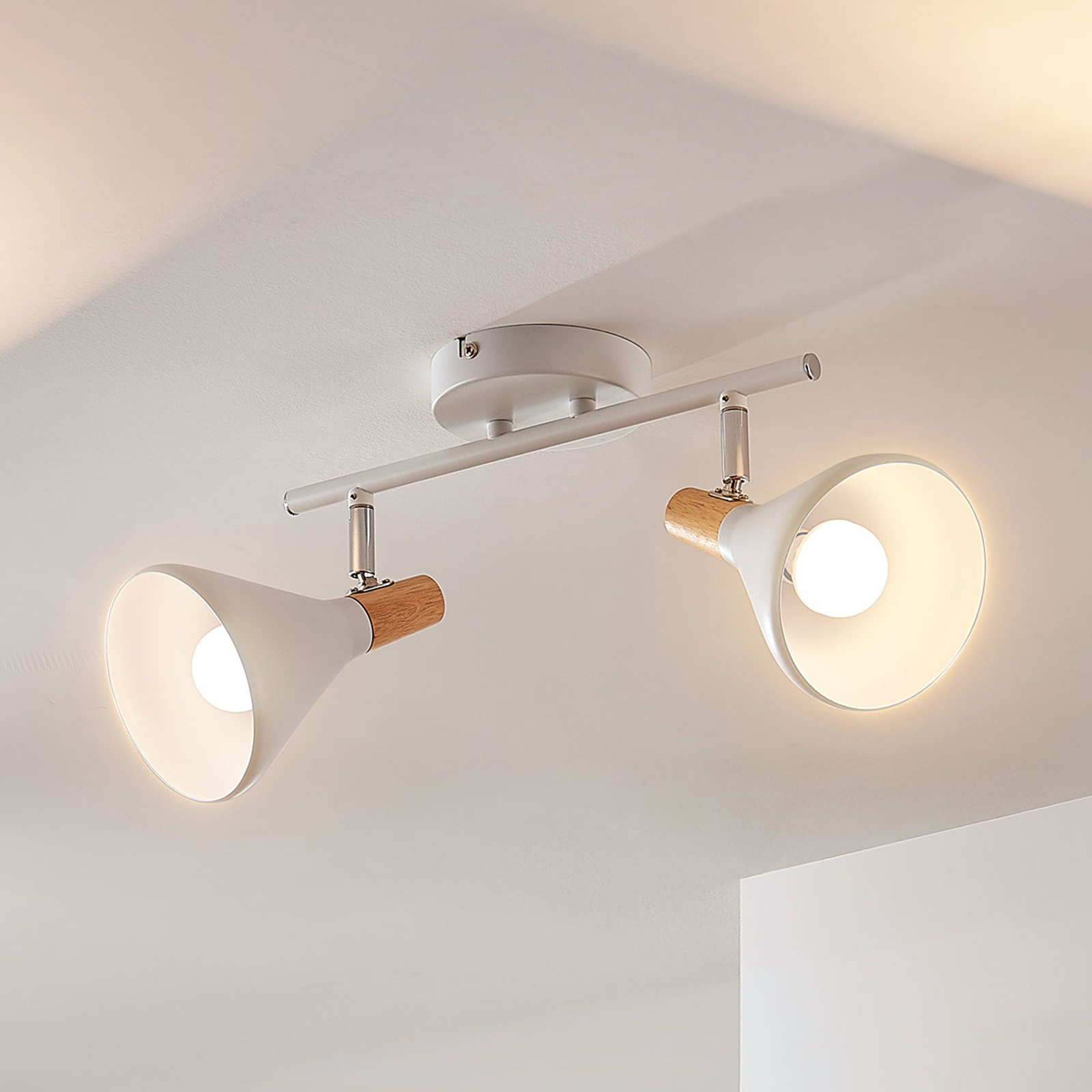 LED-taklampa Arina med 2 ljuskällor