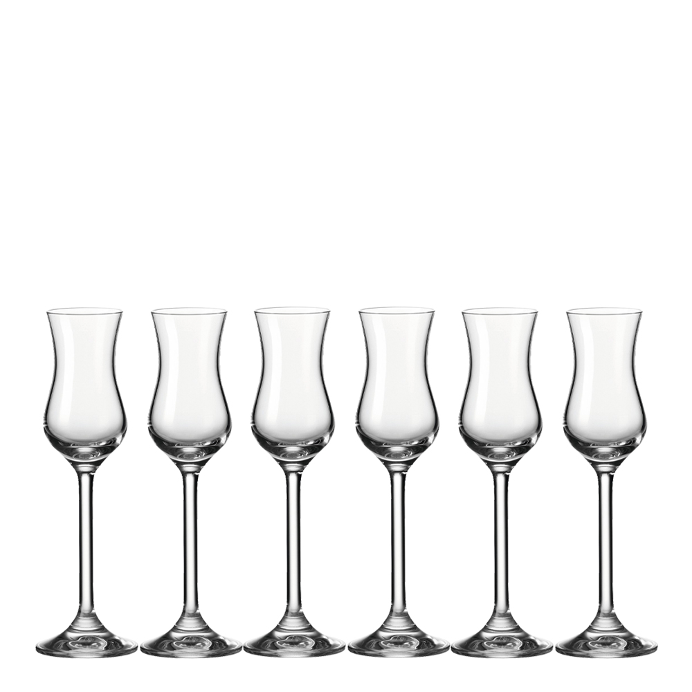 Leonardo - Daily Grappaglas 10 cl 6-pack
