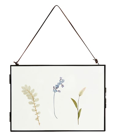 Meta Ram med Torkade blommor Svart Horizontal