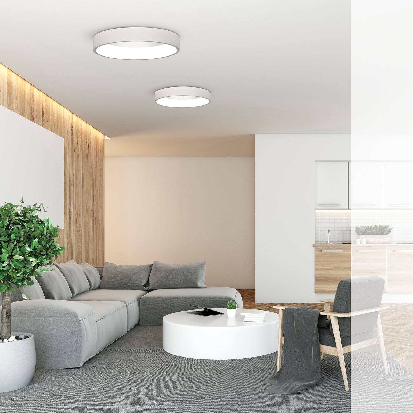 LED-taklampa Dilga DALI Ø 60 cm Casambi vit
