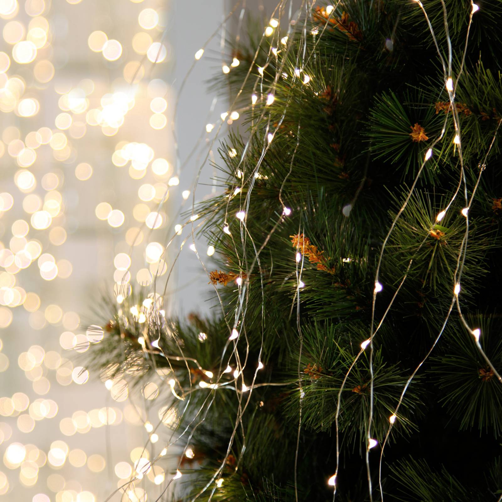 Dew Drops - LED-ljusslinga för inomhus, 125 lampor