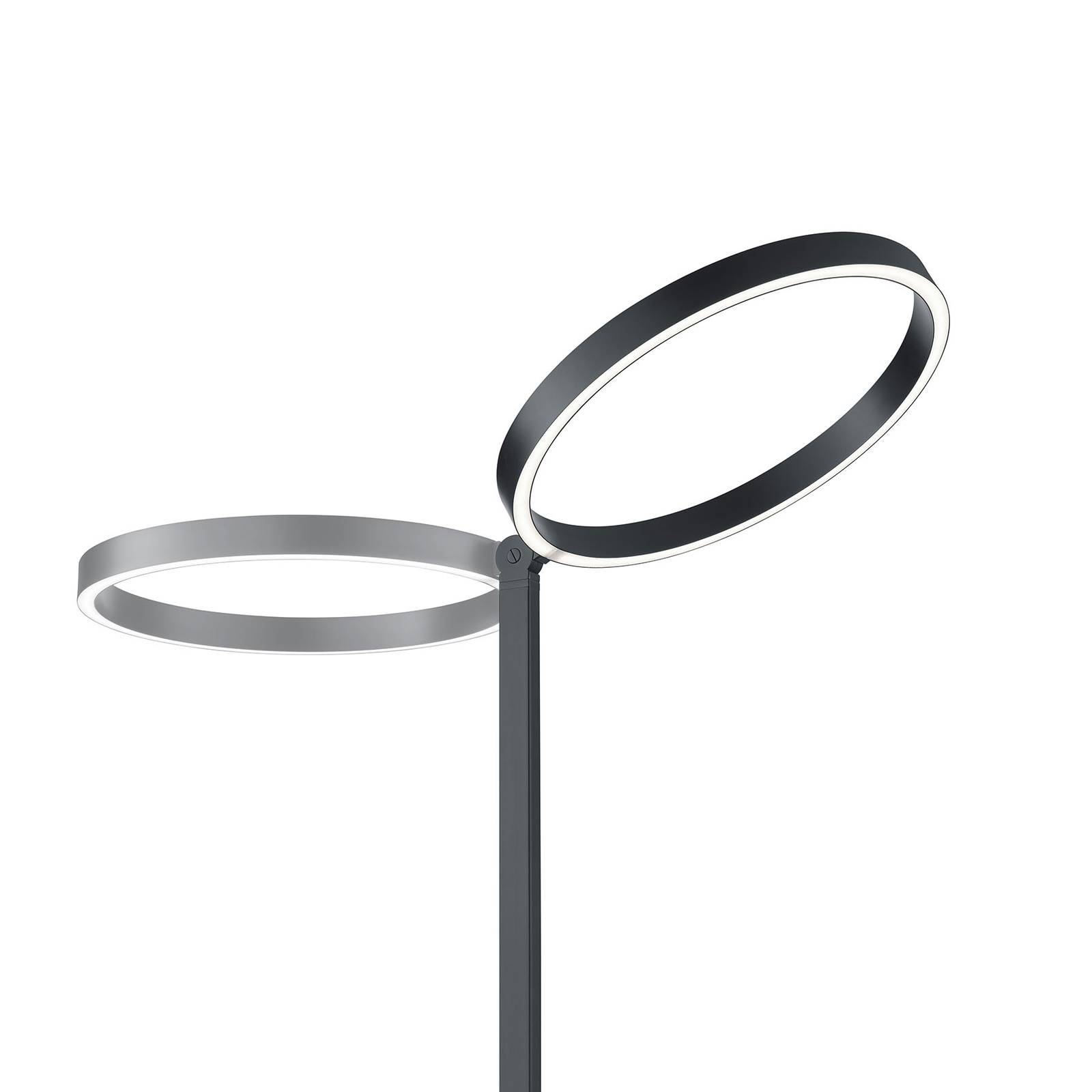 LED-golvlampa Lana svart med geststyrning