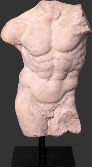 Byst Andrea torso