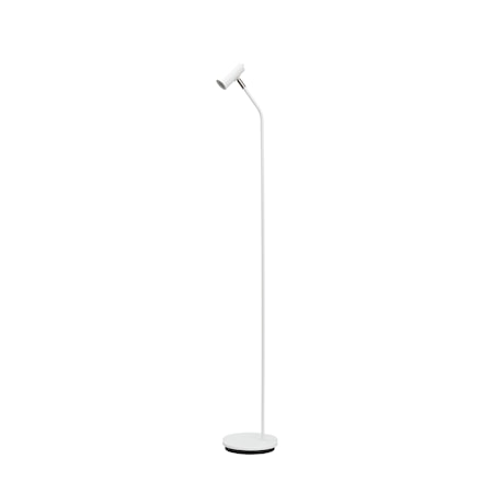 Cato Curved Golvlampa Mattvit