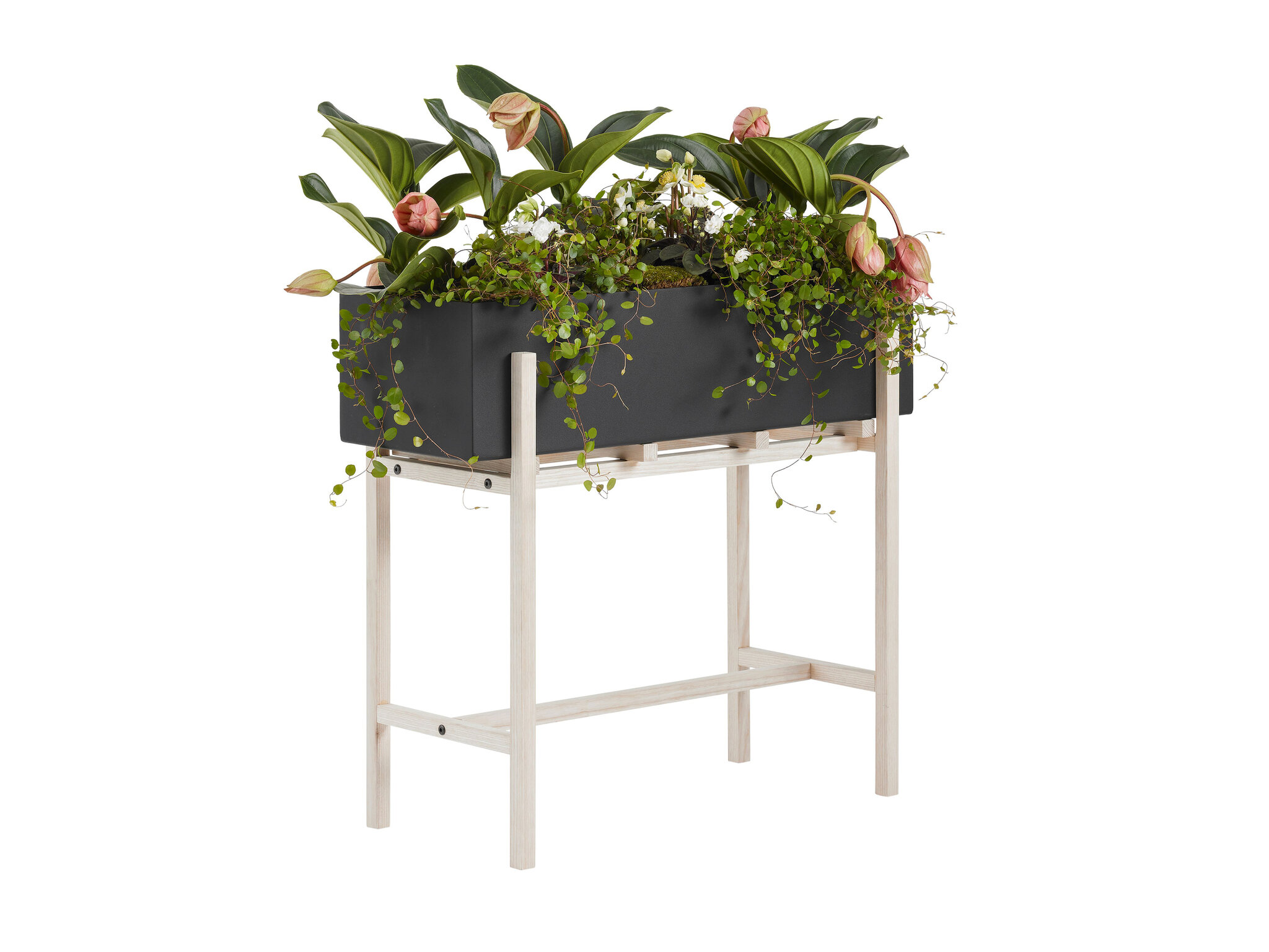 Blomkruka - Botanic flower stand, 70x59x30