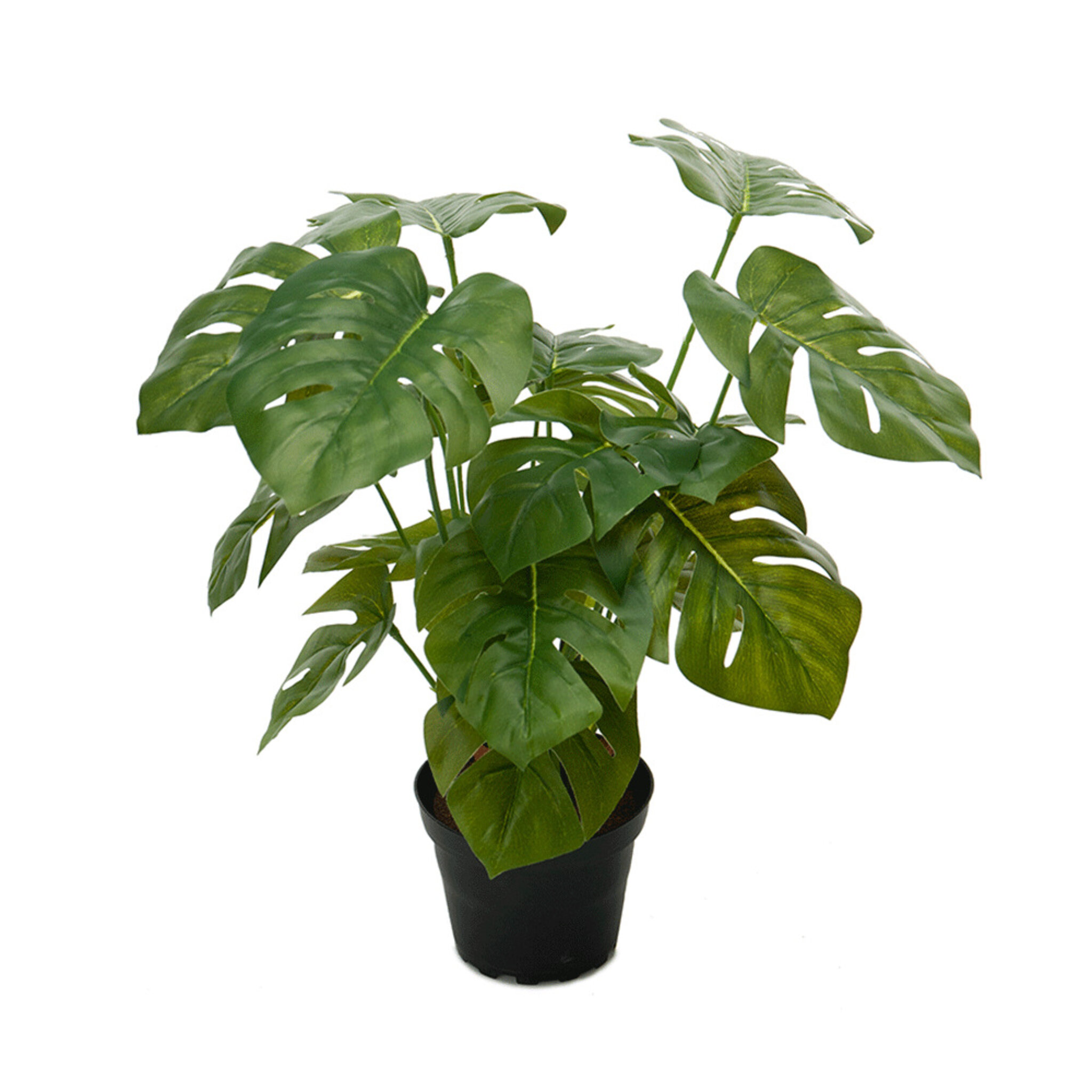 Konstväxt Monstera