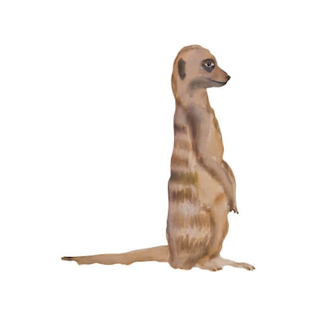 Väggdekoration Timon Sitting Brown 19,5x23cm