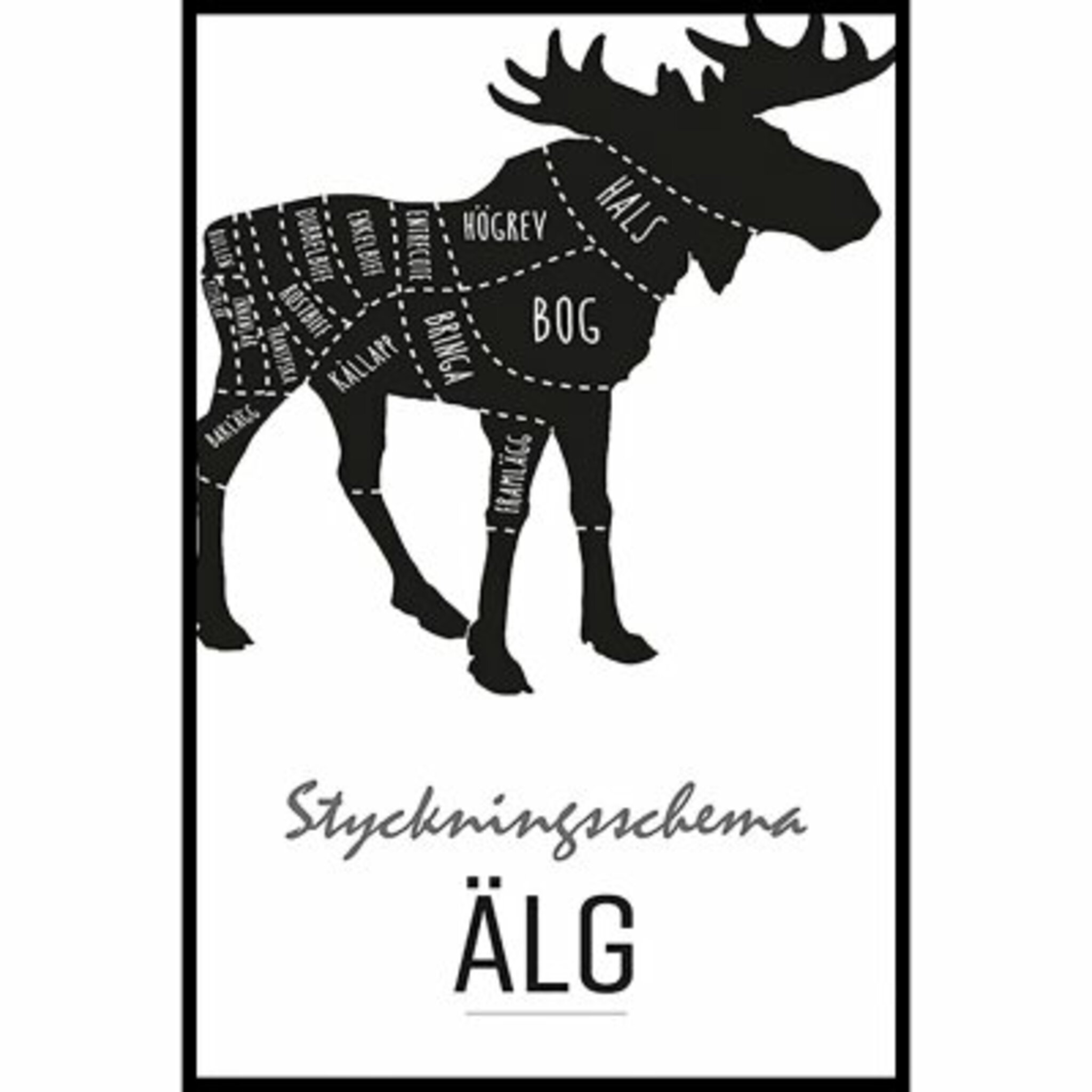 Styckningsschema Älg Poster