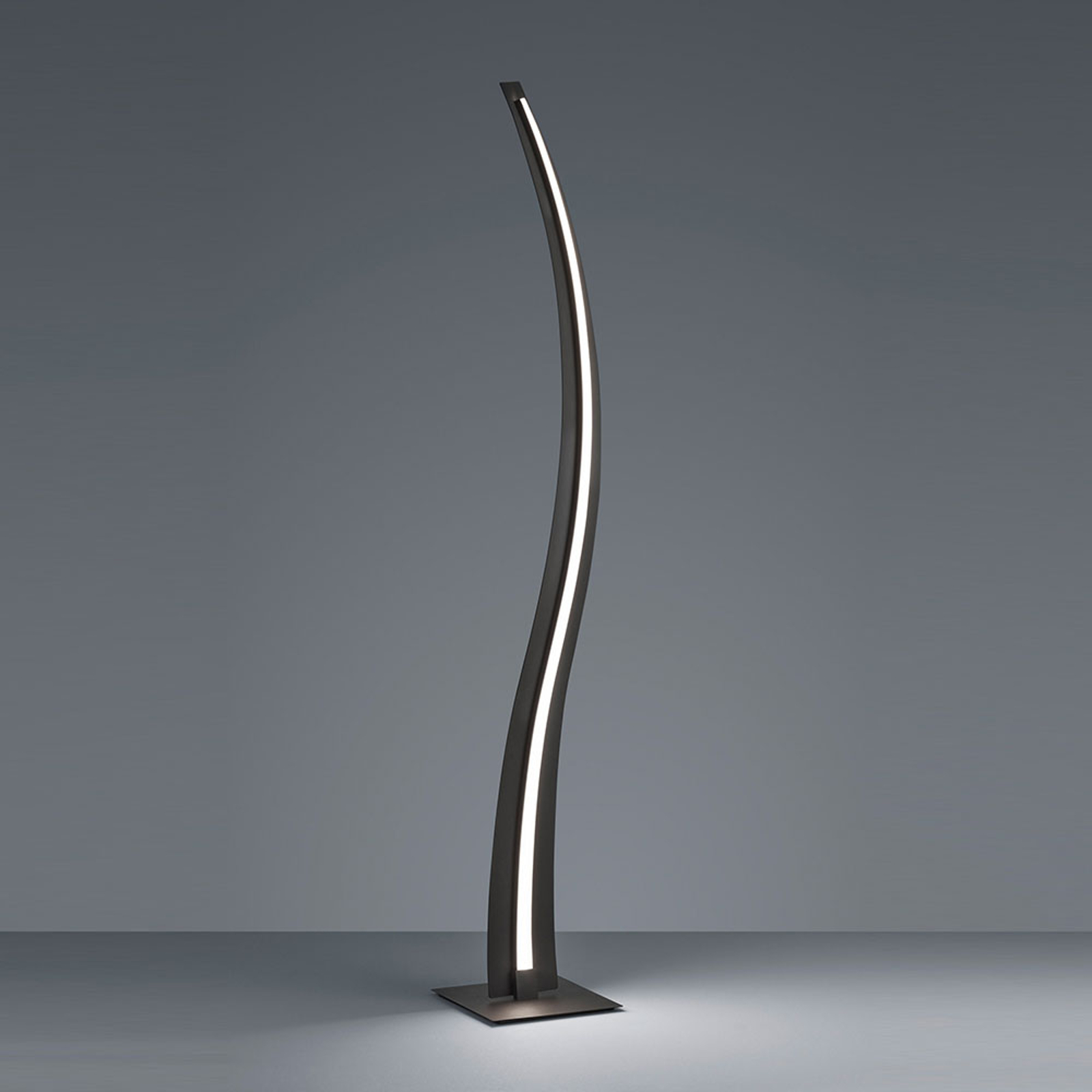LED-golvlampa Salerno, SwitchDim, svart matt