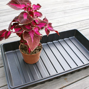 Plantlåda 53x32
