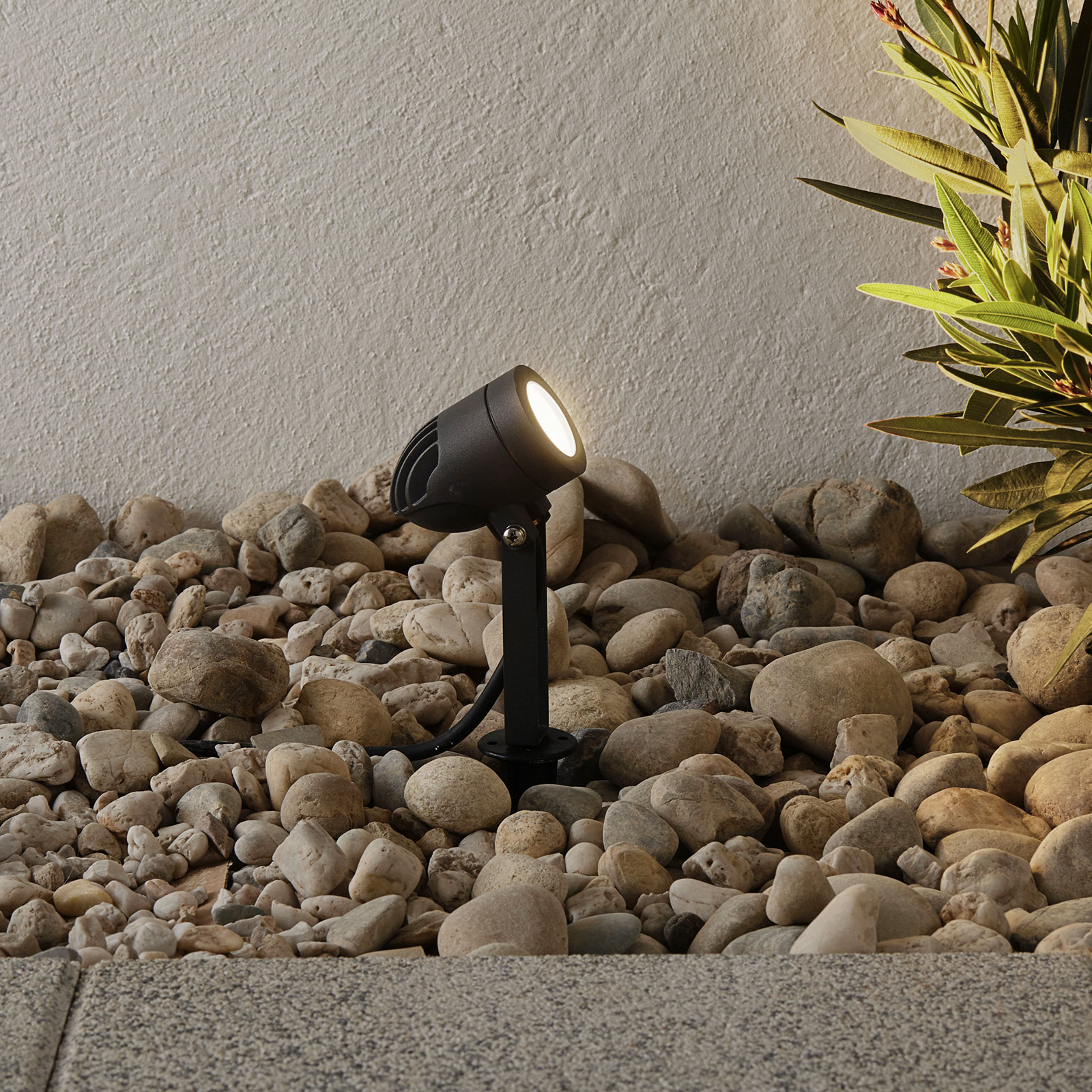 Timko – svart LED-markspettspotlight, IP65