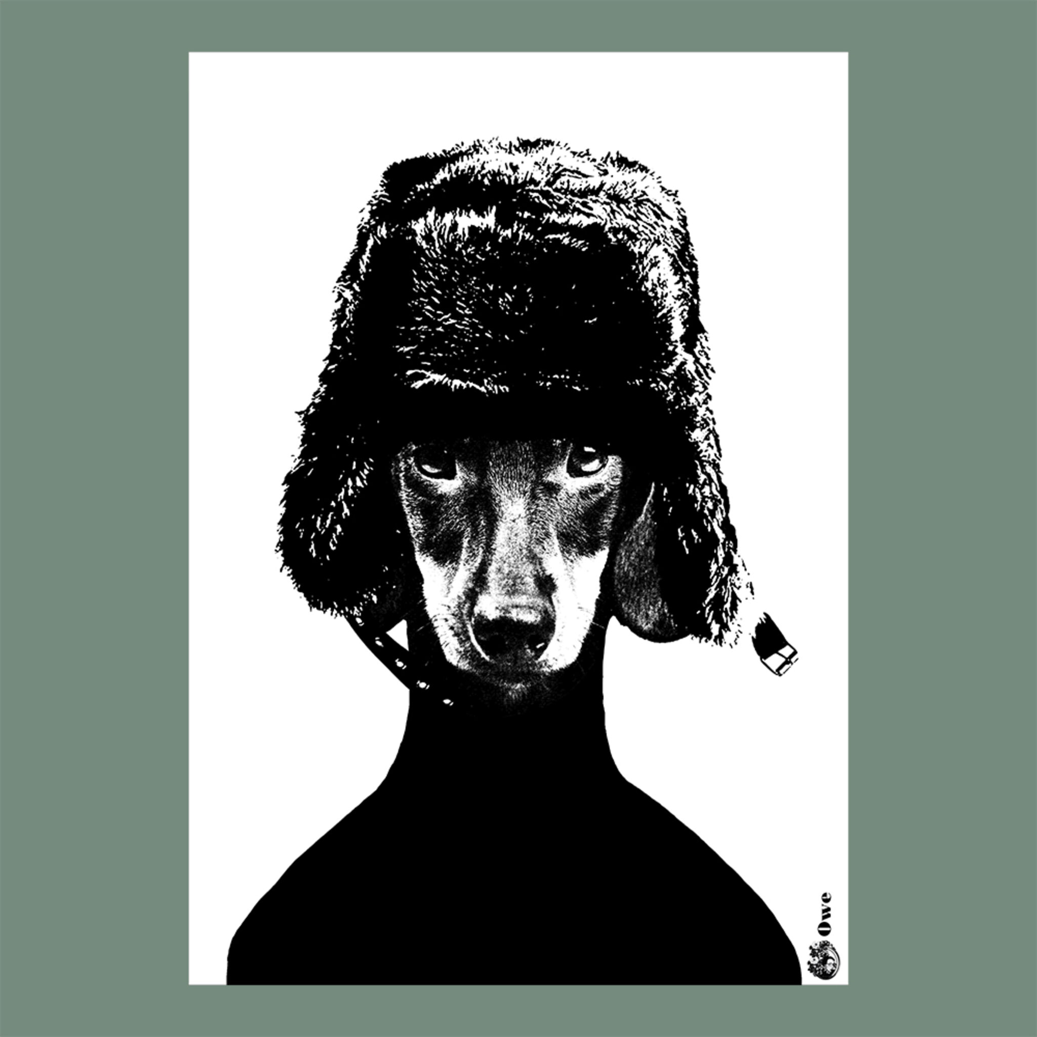 Poster A3 Owe