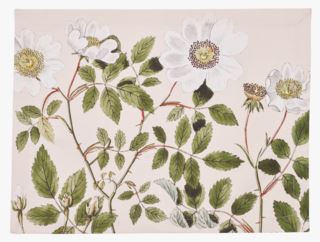 White Rose bordstablett multi
