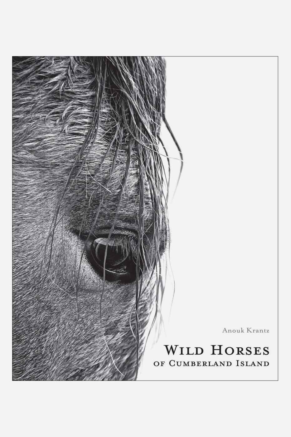 Bok Wild Horses of Cumberland Island