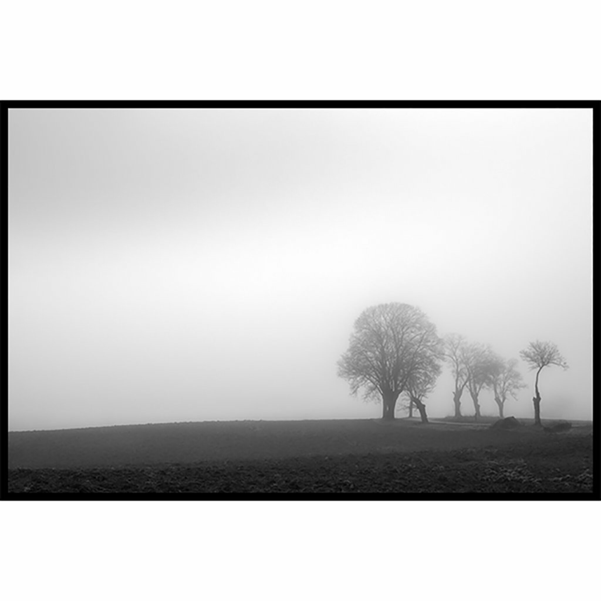 Foggy Morning Poster