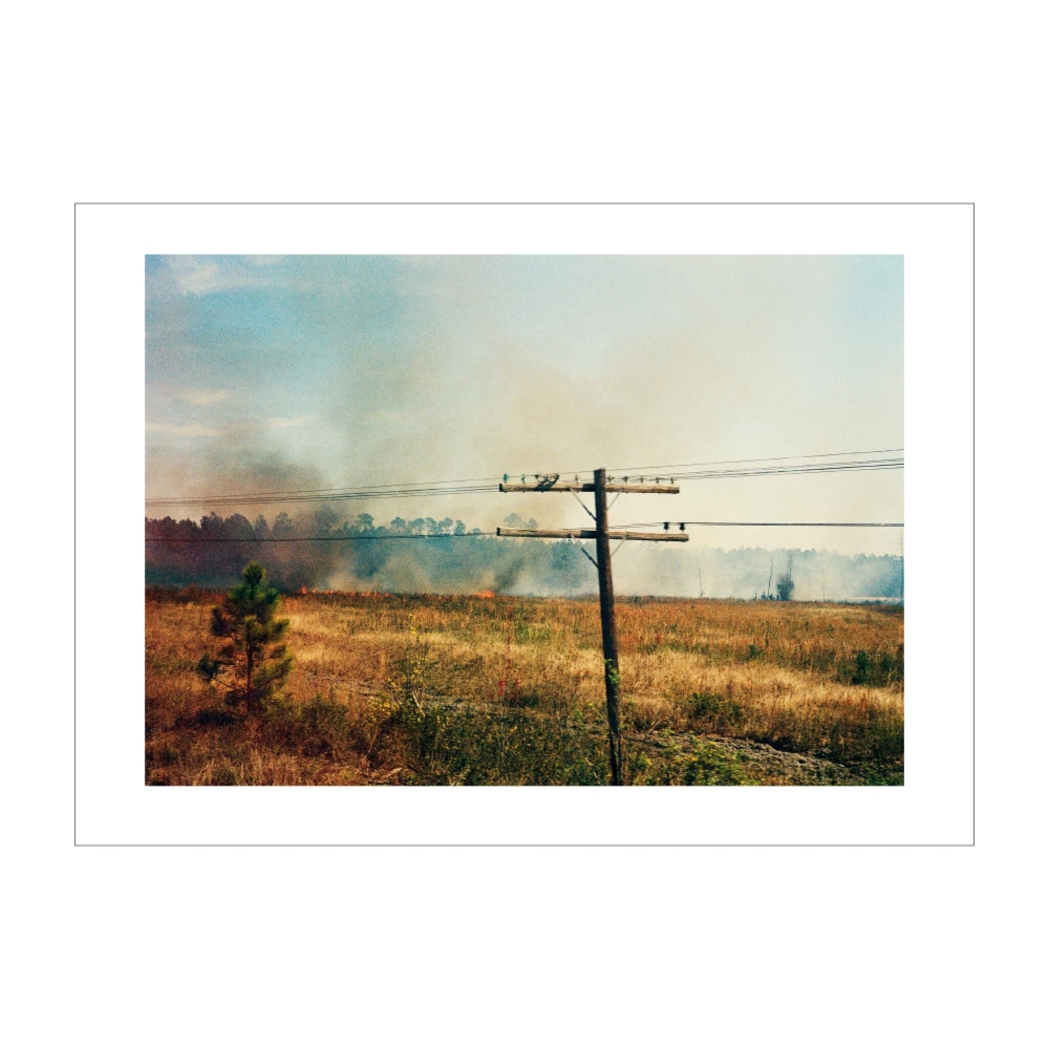 Slash And Burn
