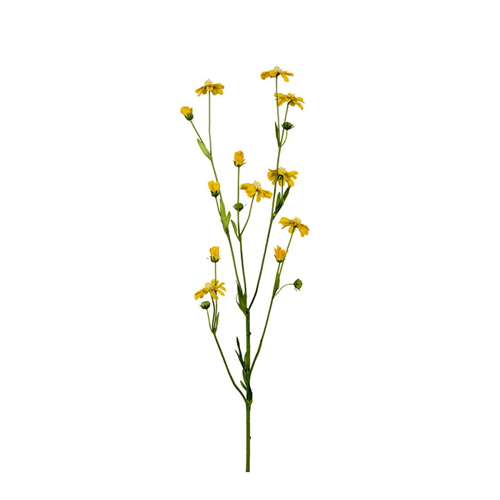 Konstväxt Rosenskära 65 cm gul
