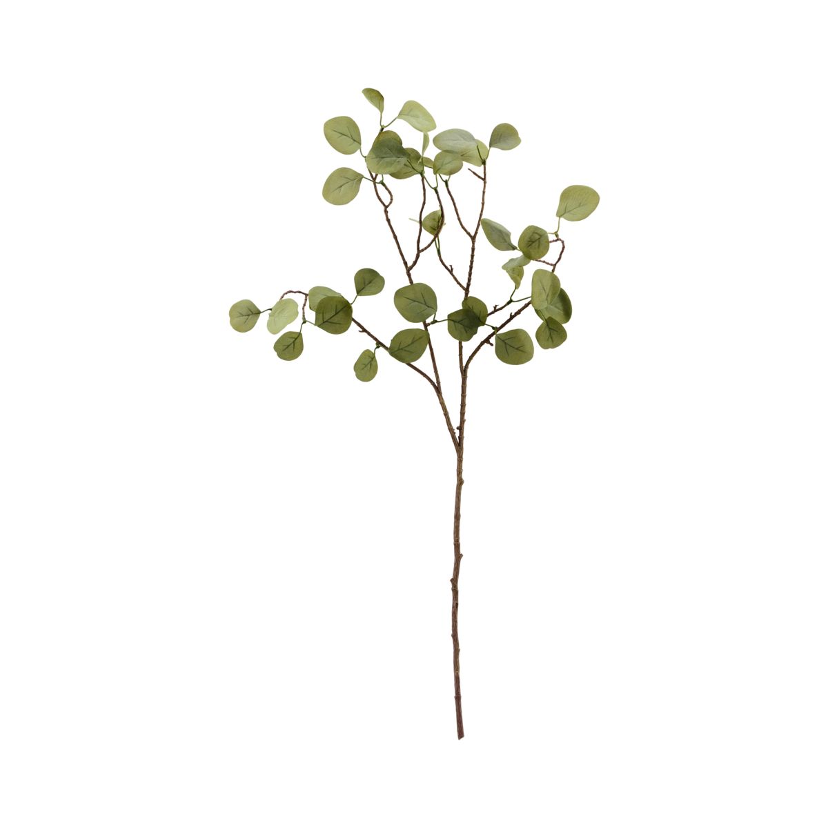Eukalyptus Konstväxt House Doctor
