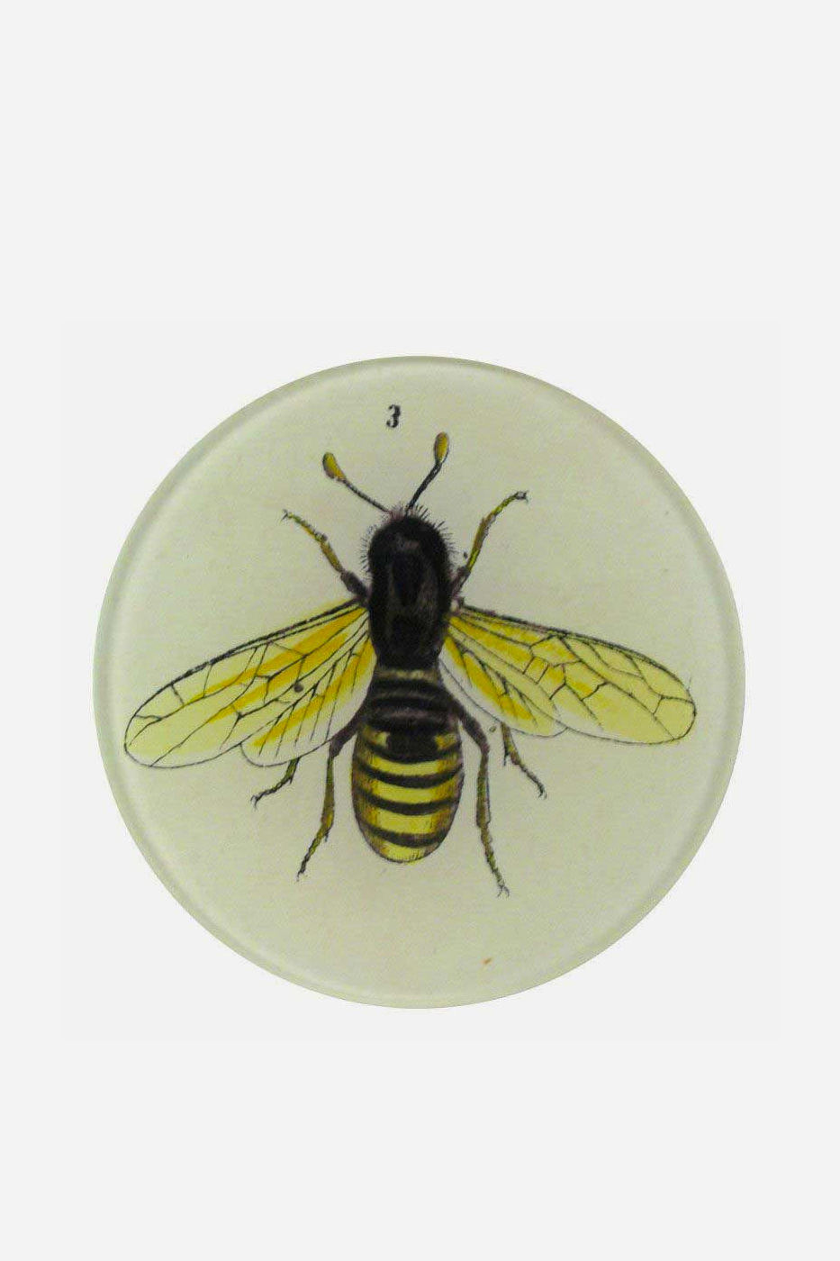 Fat 10cm Bee