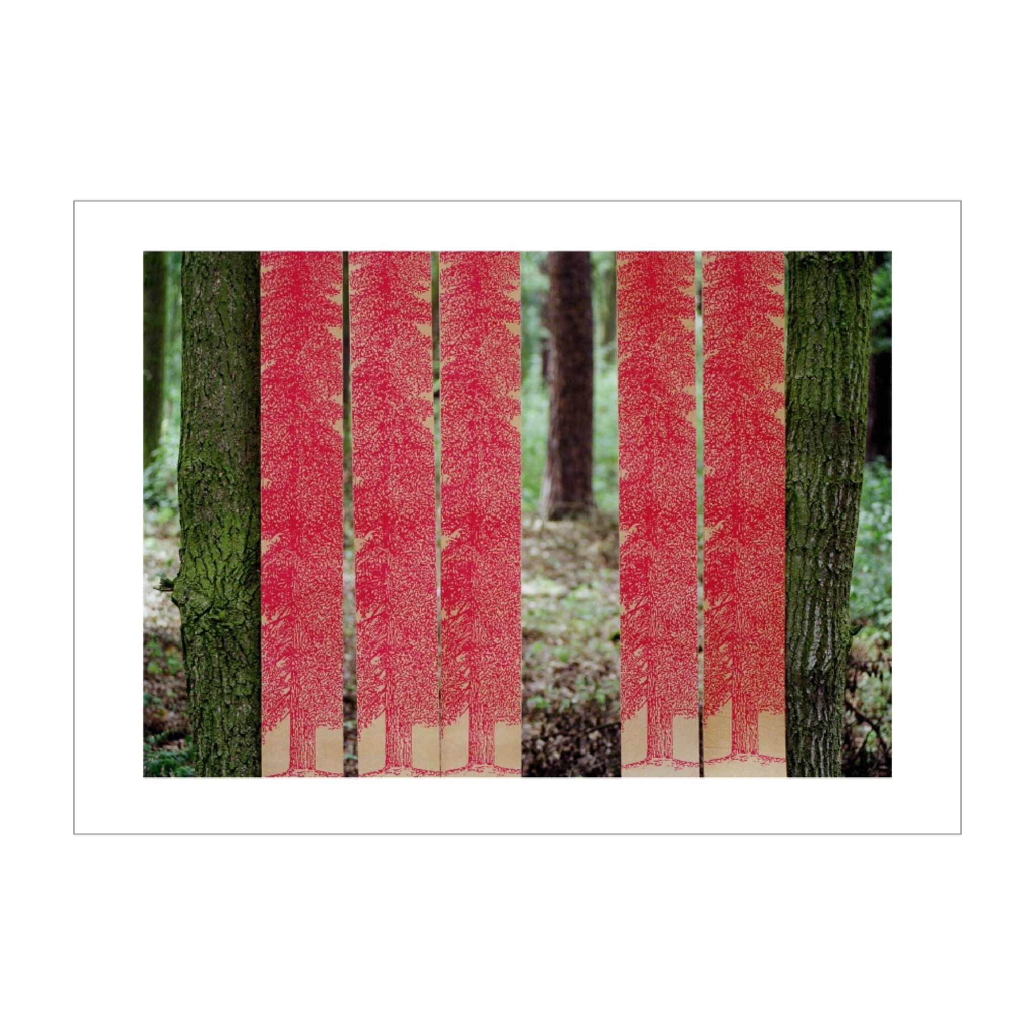 Trees