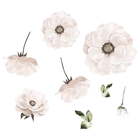Väggdekoration Poppy Flower White