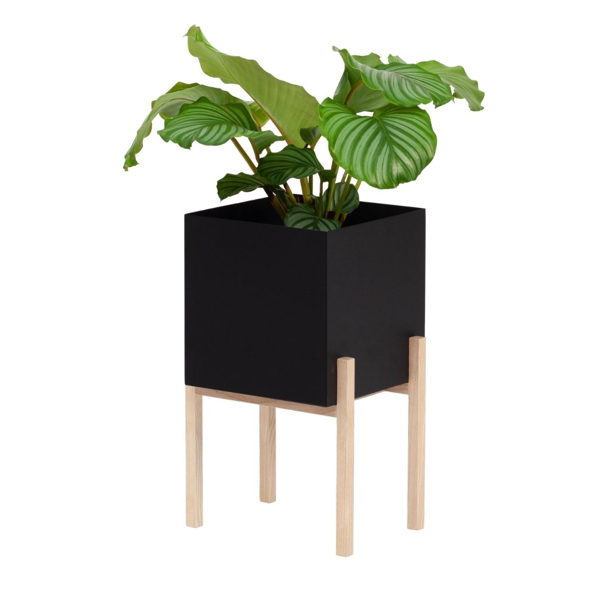 Design House Stockholm Pedistal Botanic Svart