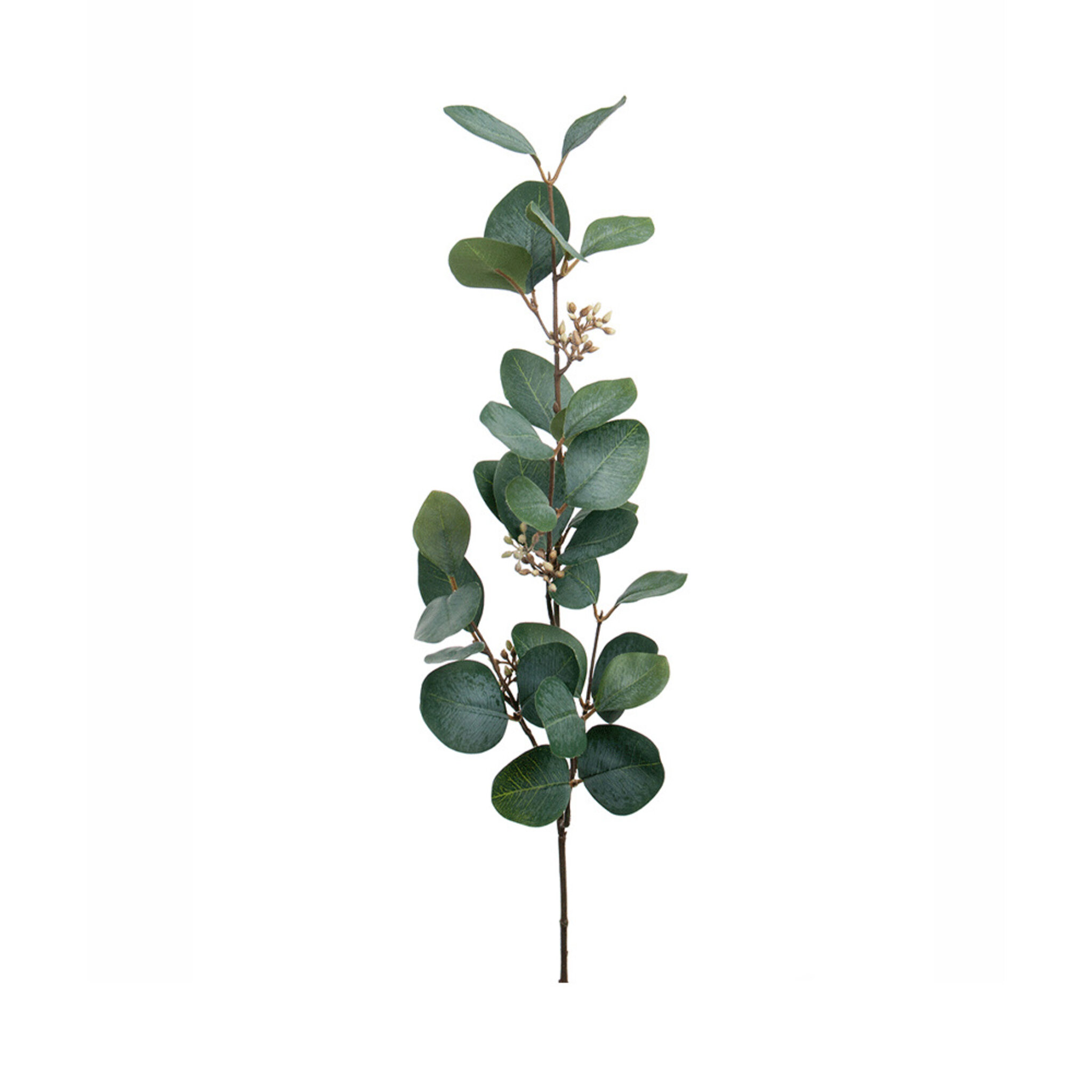 Konstväxt Eucalyptus med bär 70 cm