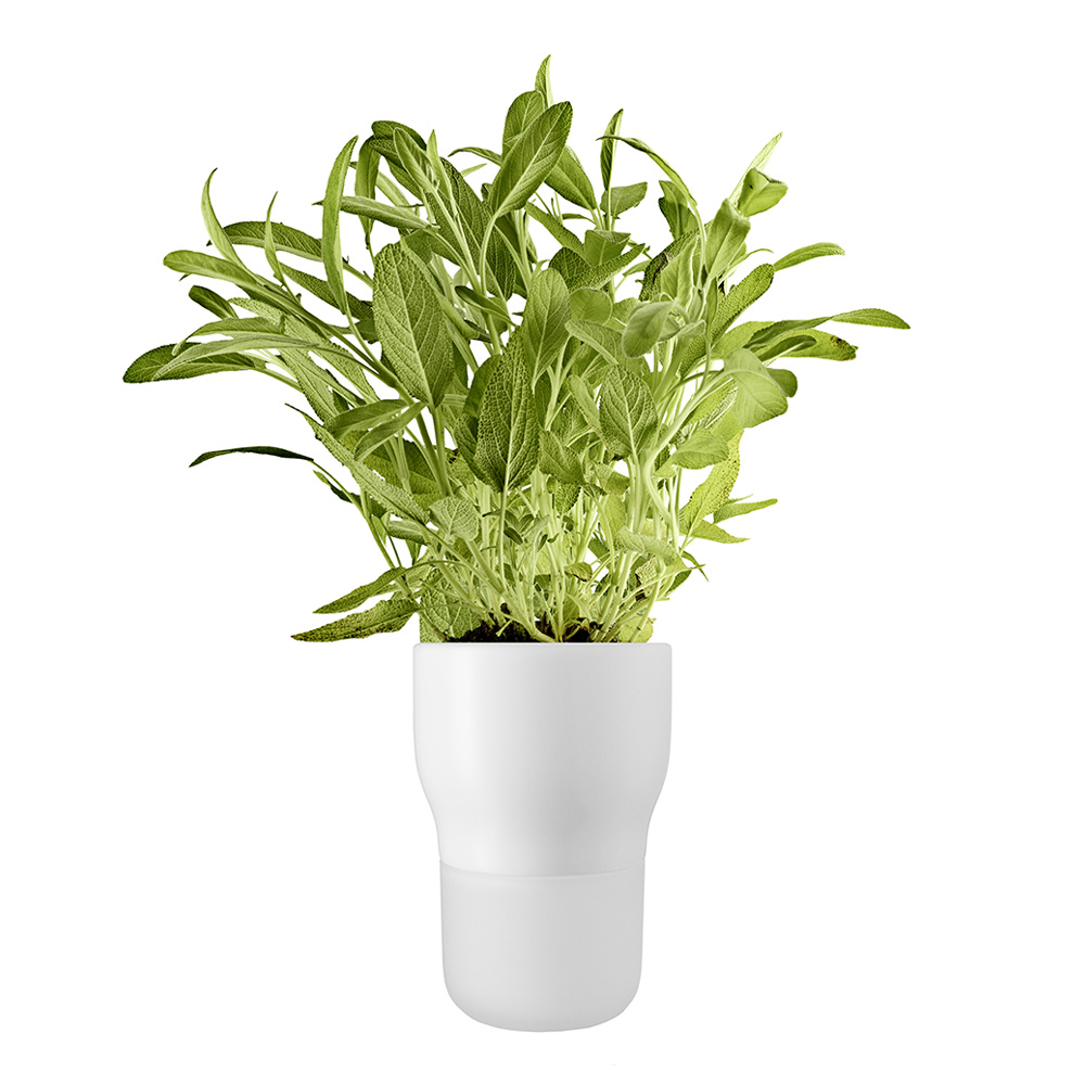 Eva Solo - Kruka självvattnande 11 cm Vit
