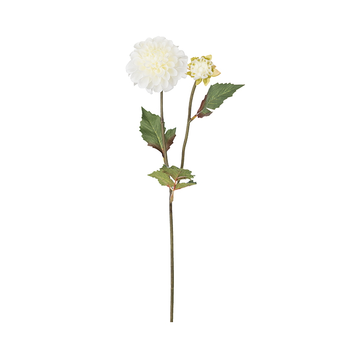 Konstväxt Dahlia 50 cm vit