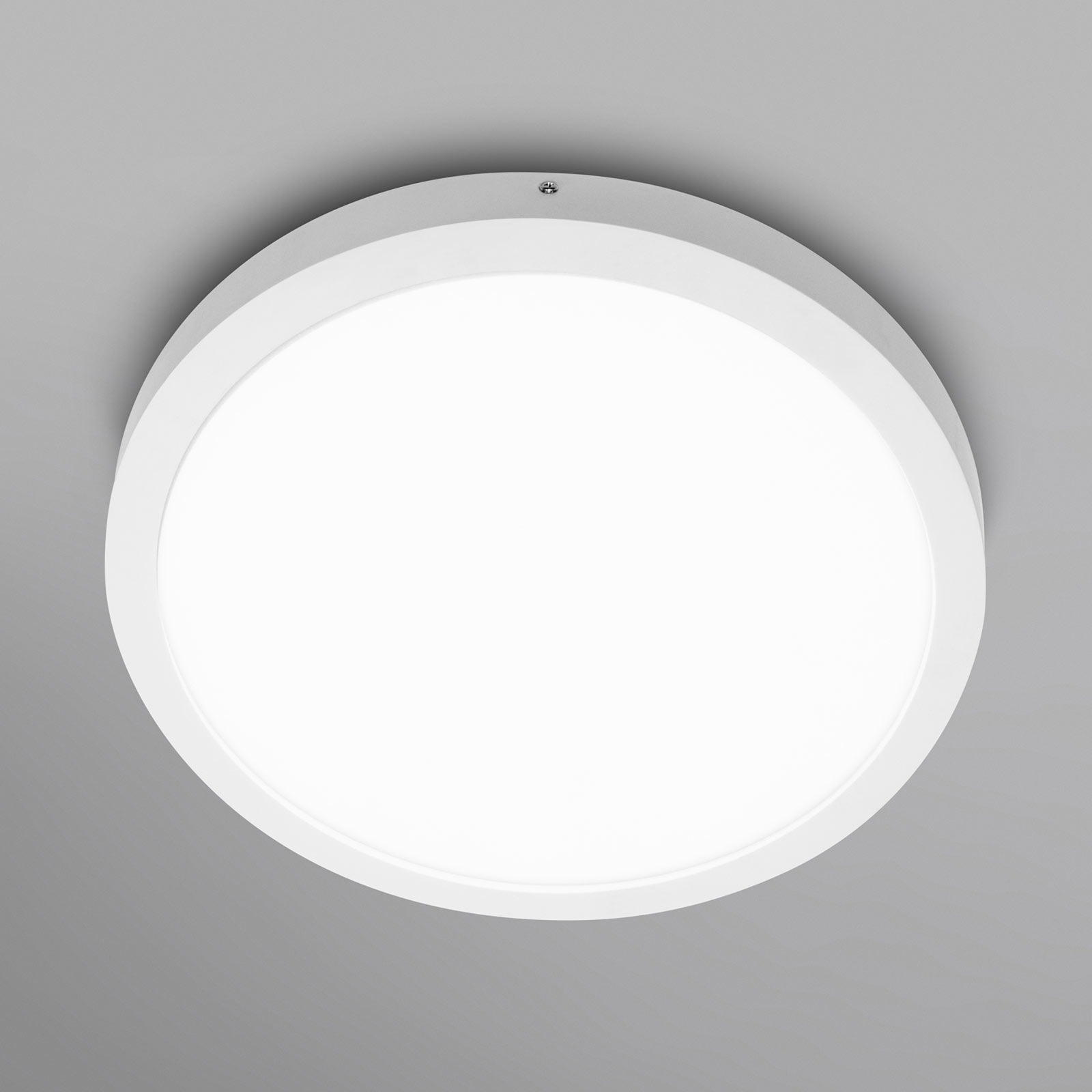 LEDVANCE Planon Round LED-vägglampa 40 cm 840