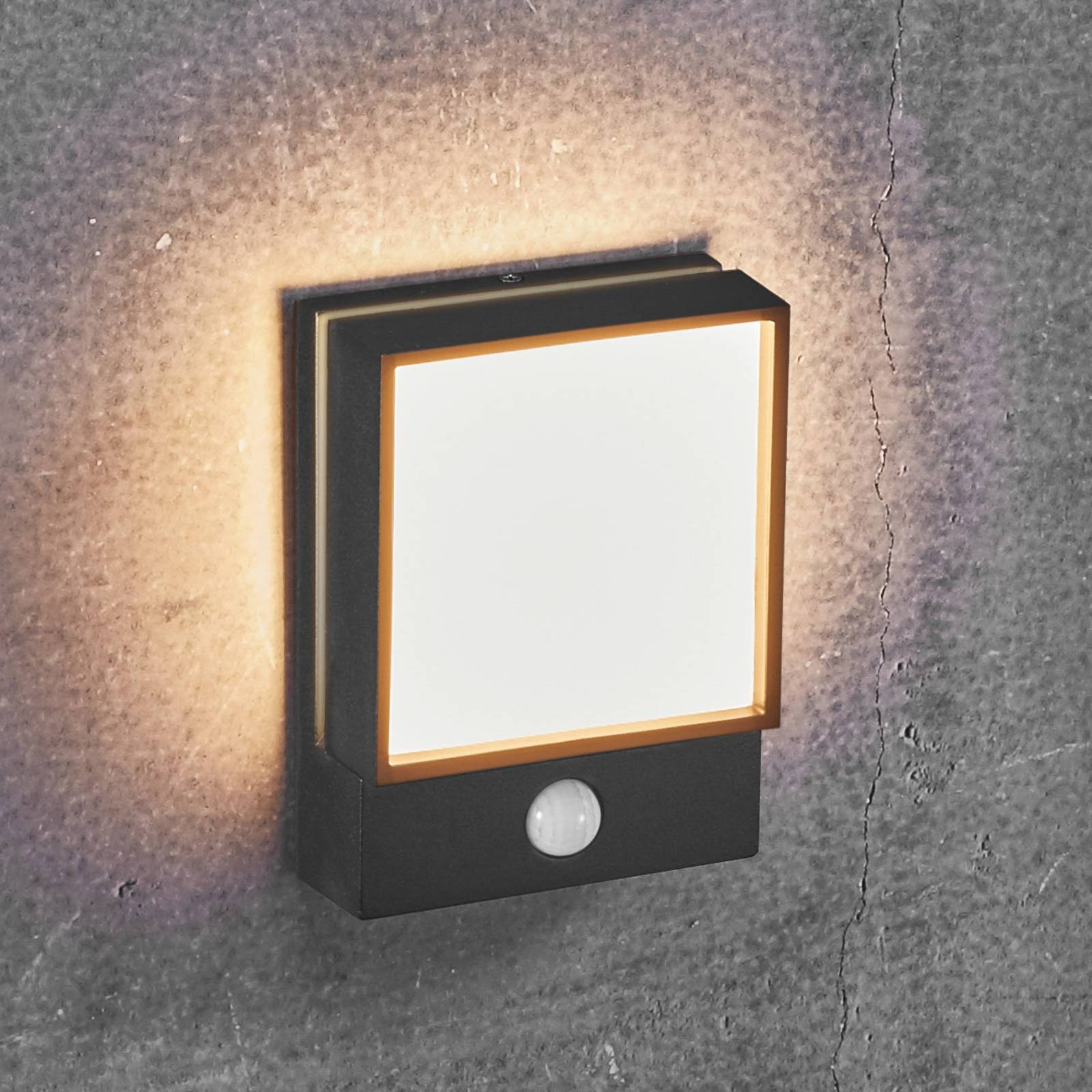 LED-utomhusvägglampa Egon med rörelsesensor