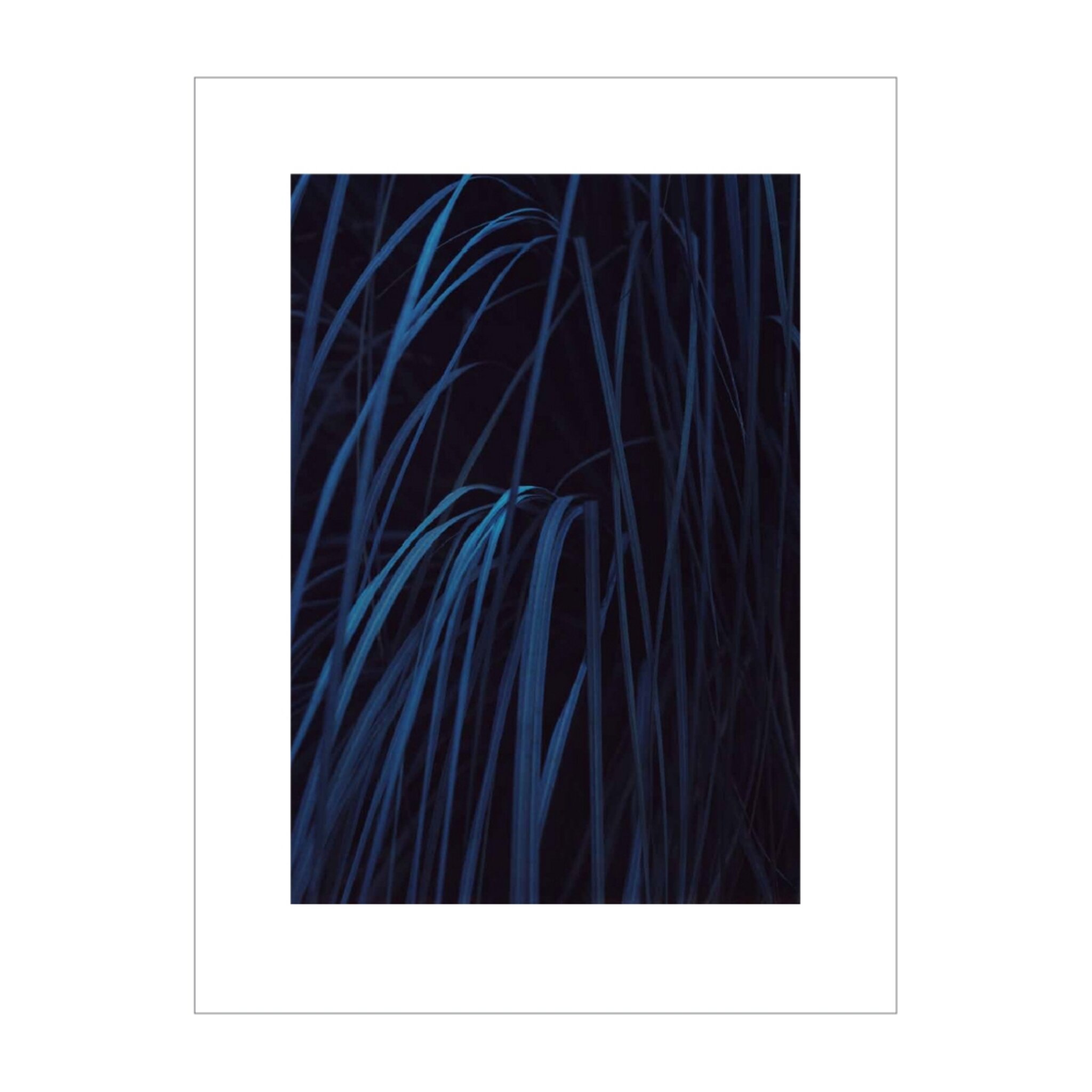 Shades Of Blue #3