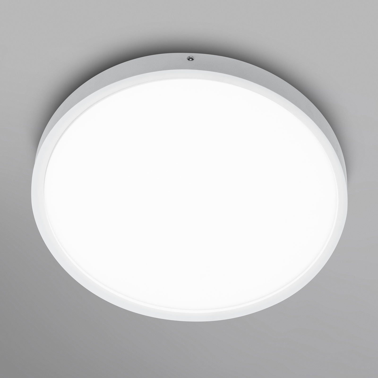 LEDVANCE Planon Round LED-taklampa 60 cm 840