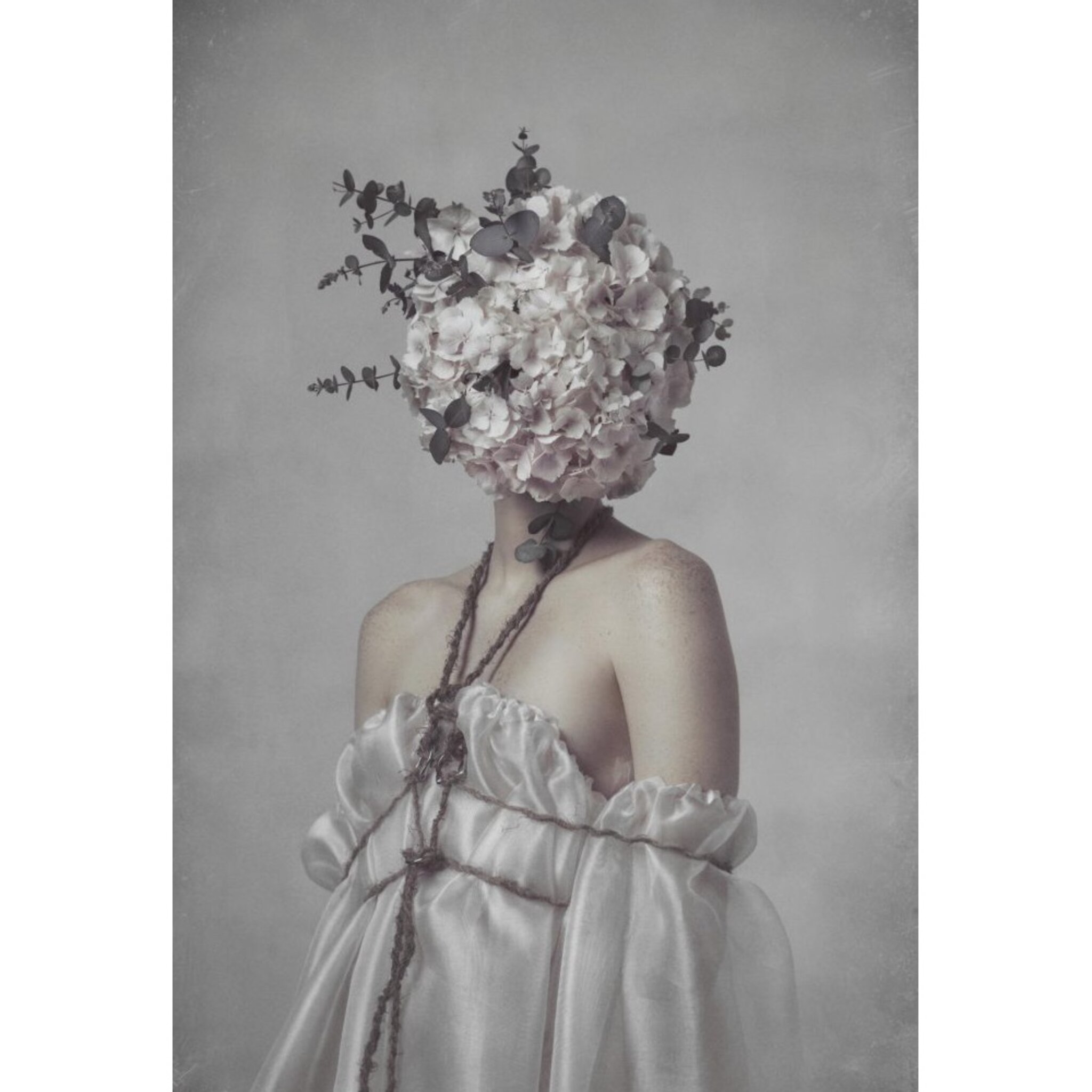 No 2 – Bewilderment Poster
