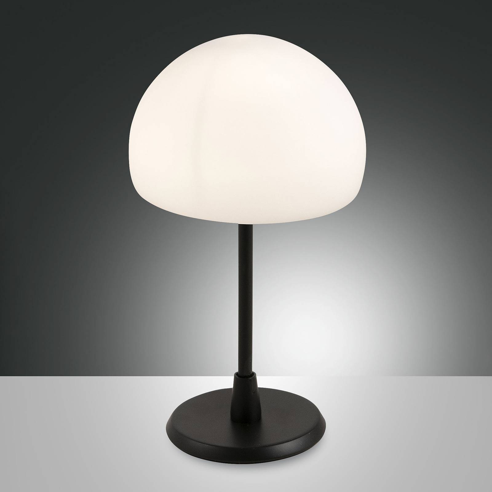 LED-bordslampa Gaia med touchdimmer, svart