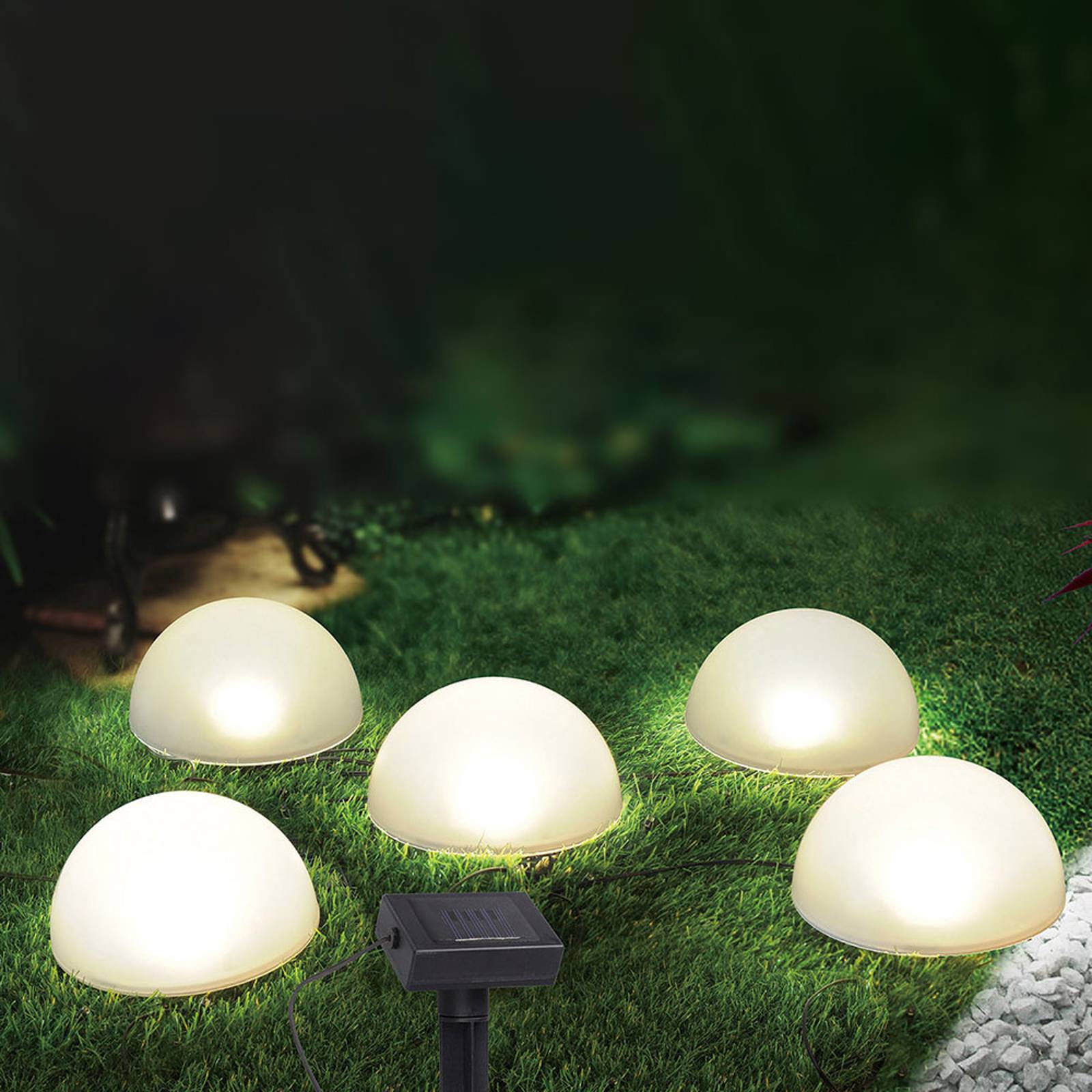 LED-solljusslinga 33980, 5 lampor, vit