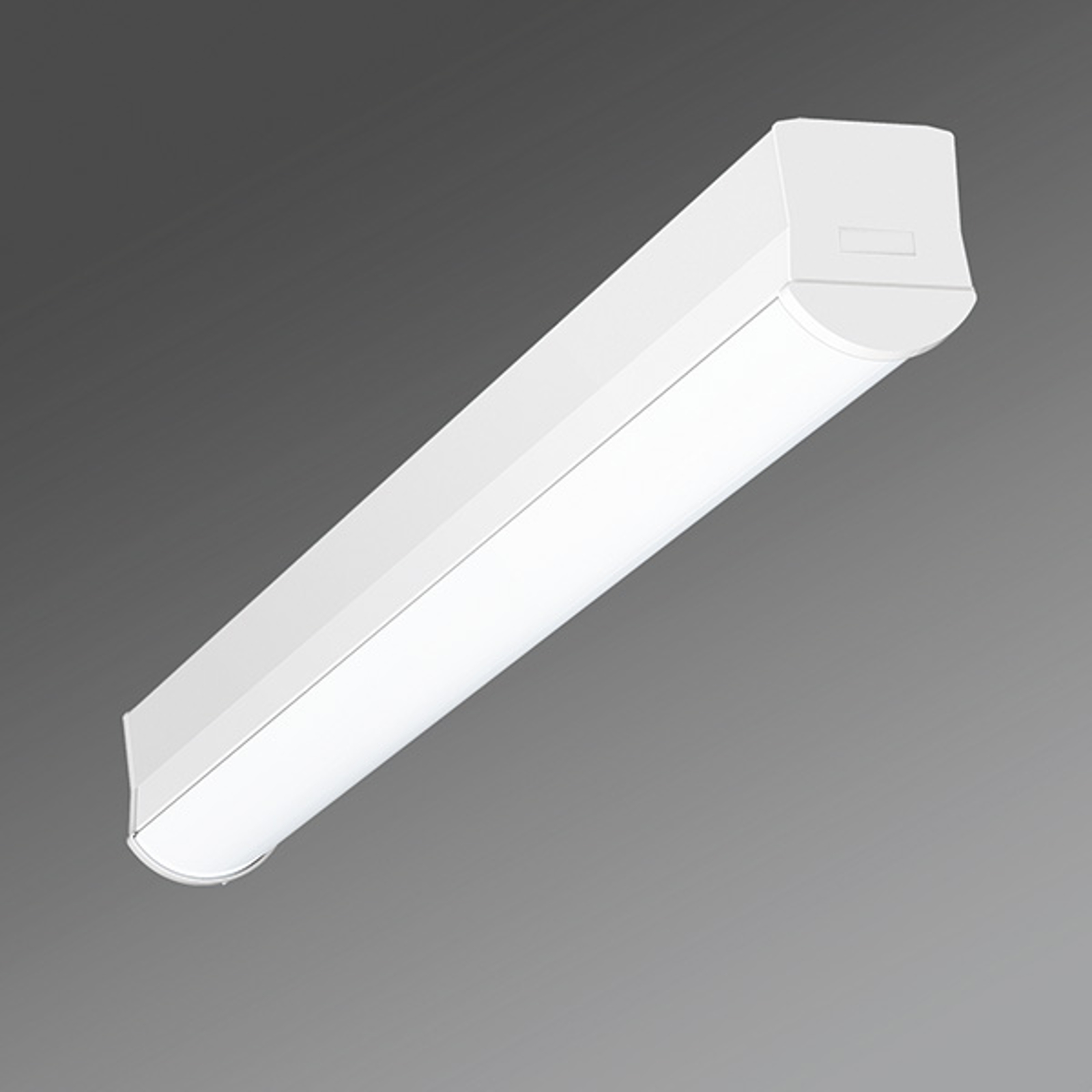 Smal LED-taklampa Ilia-ILG/0600 4 000 K