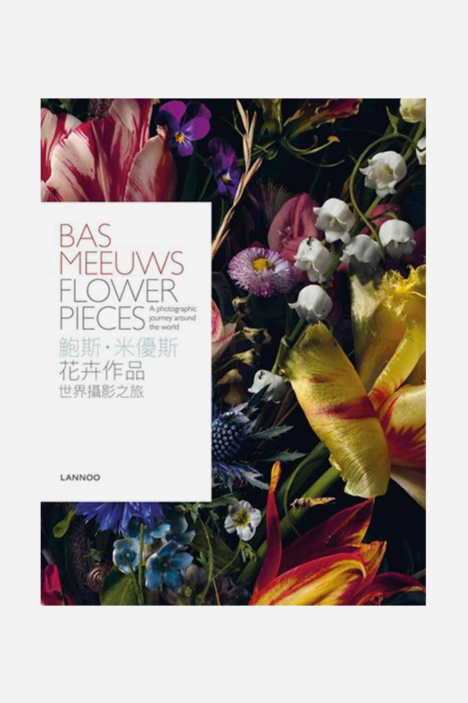 Bok Bas Meeuws Flower Pieces