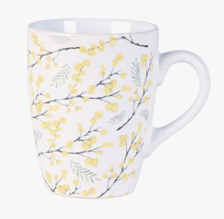 Mimosa mugg multi
