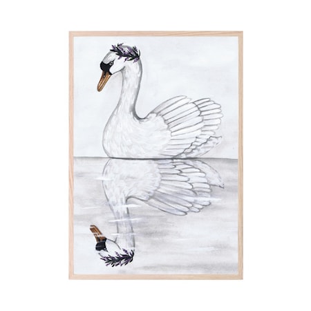 Poster Swan Reflection 50x70cm