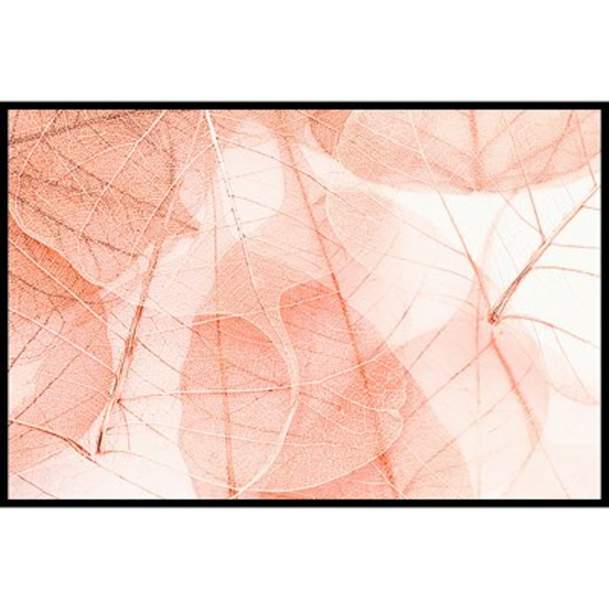 Sun Bleached Apricot Poster