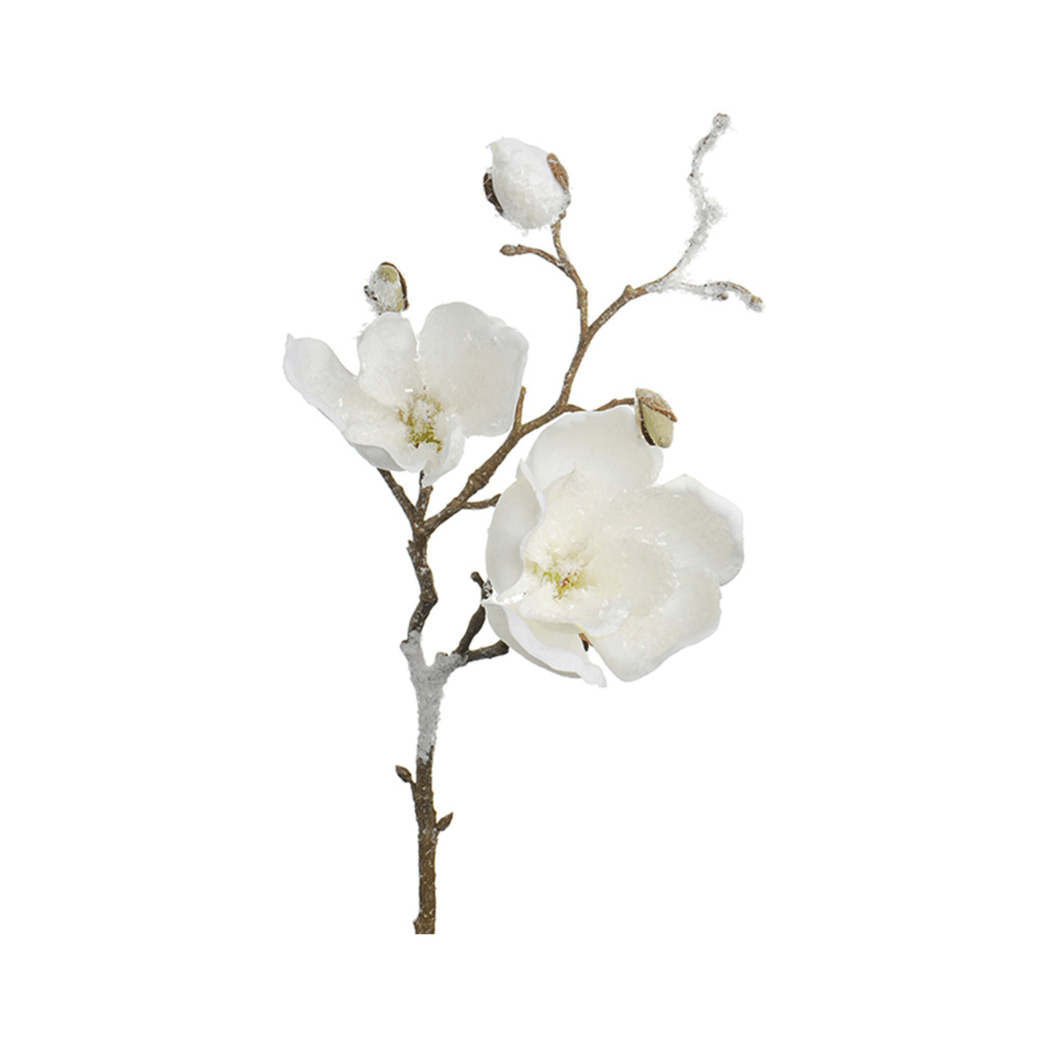Konstväxt Magnolia med is 50 cm