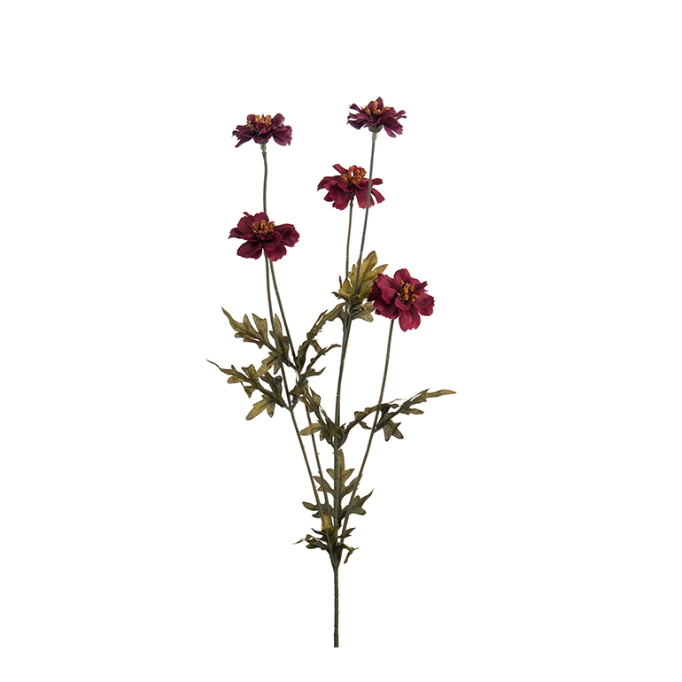 Konstväxt Höstöga Coreopsis 75 cm gul