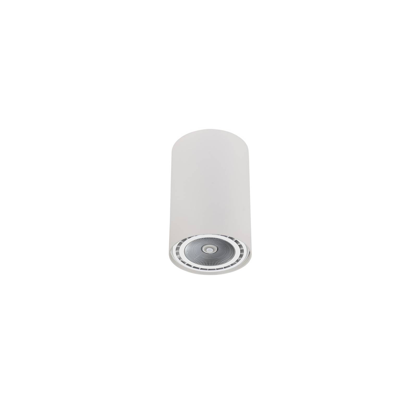 Takspotlight Bit i cylinderform vit