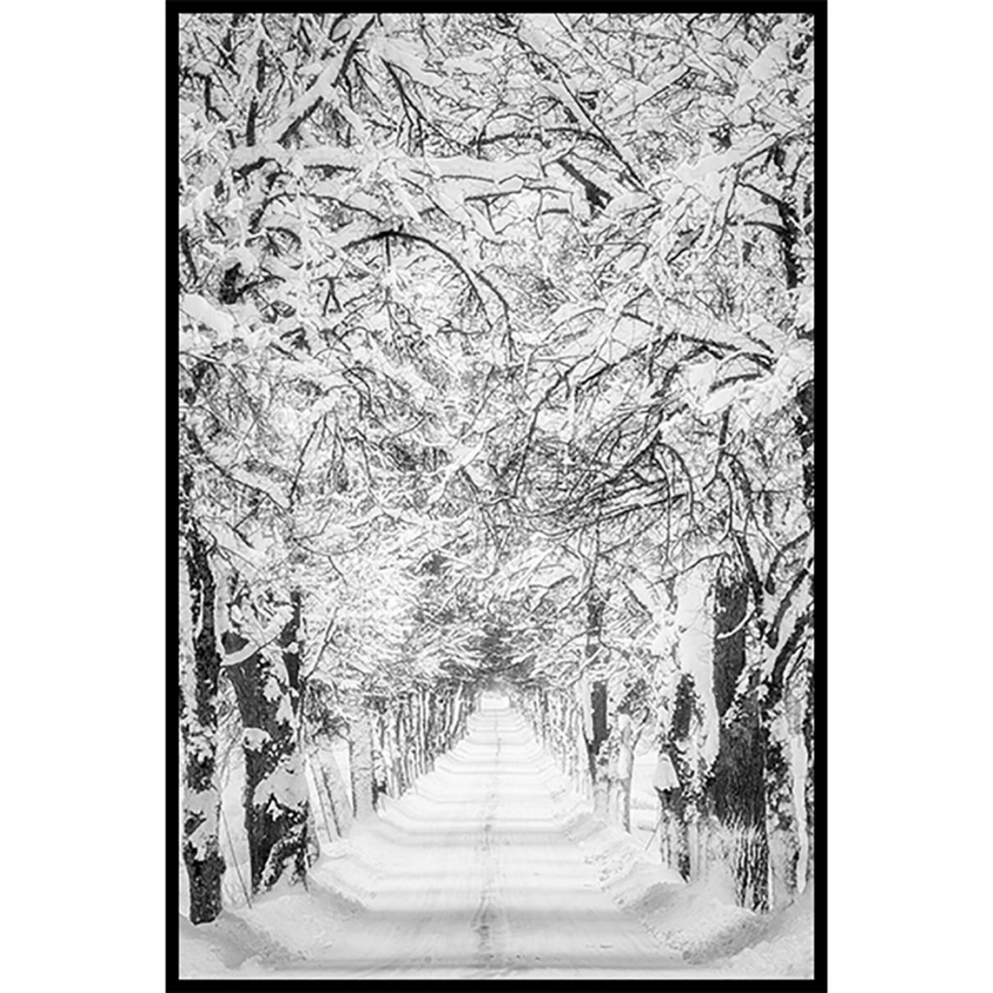 Winter Avenue Poster
