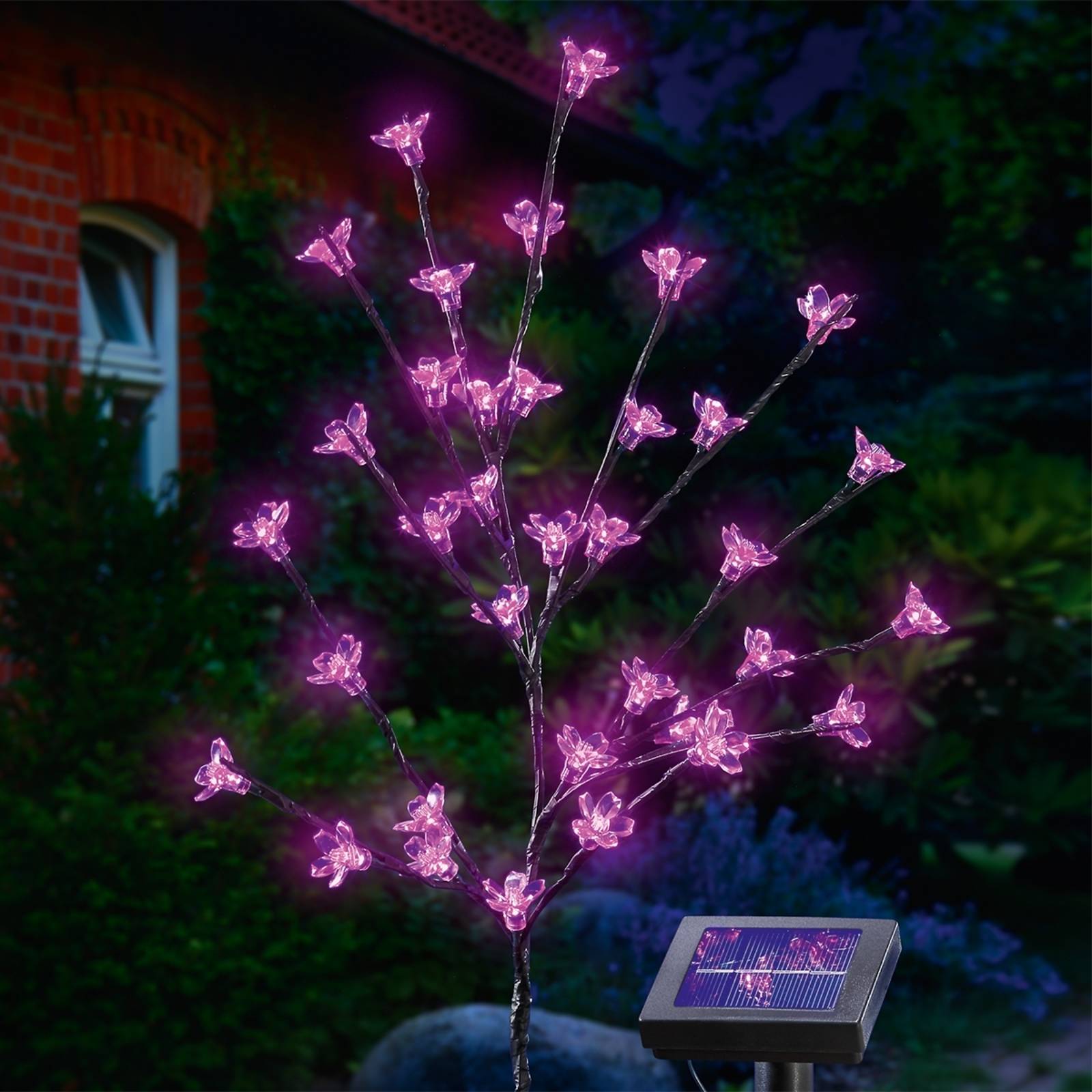 Solarblomkvistar LED